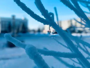 Предупреждение! Ожидается аномально холодная погода!